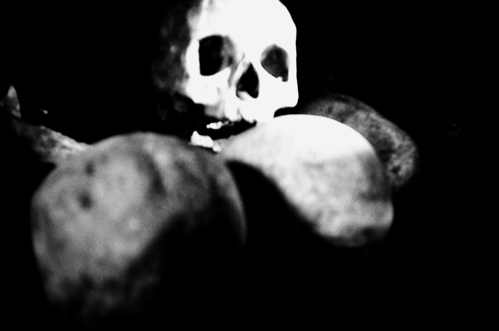 ('catacomb skulls' by peter honeyman)