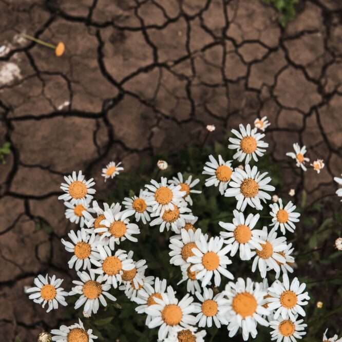 The Strings That Tie To You